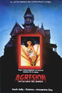 Agresión en la casa del terror (1982)