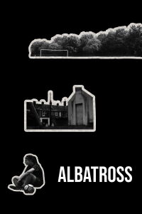 Albatross (2021)