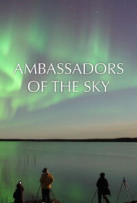 Ambassadors of the Sky (2016)