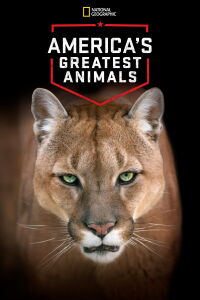 America's Greatest Animals (2012)