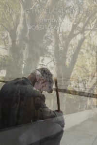 Among the Eucalyptuses (2017)