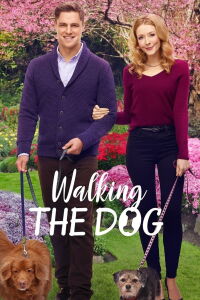 Amor de Perros (2017)