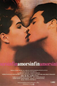 Amor sin fin (1981)