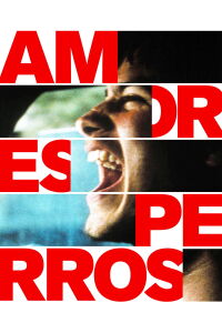 Amores Perros (2000)