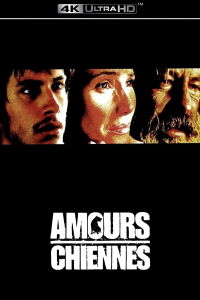 Amours chiennes (2000)