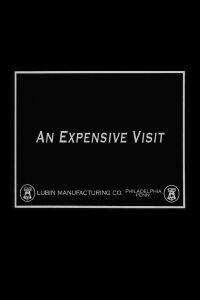 An Expensive Visit (1915)