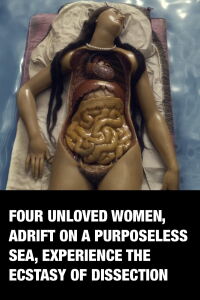 Anatomical Waxes (2023)