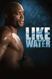 Anderson Silva: como el agua (2011)