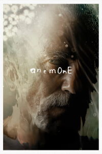 Anemone (2025)