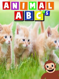 Animal ABCs (2011)