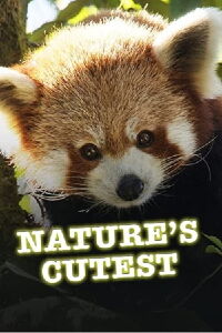 Animales adorables (2021)