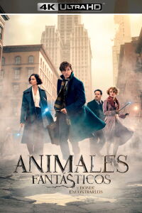 Animales Fantásticos: Y Dónde Encontrarlos (2016)