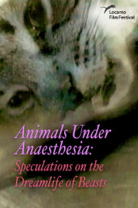 Animals Under Anaesthesia: Speculations on the Dreamlife of Beasts (2017)