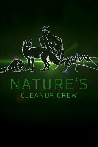 Animaux nettoyeurs. Les alliés de la nature (2020)