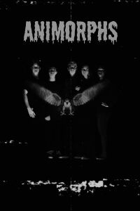 Animorphs- The Invasion Series, Part 1: The Invasion Begins (2007)