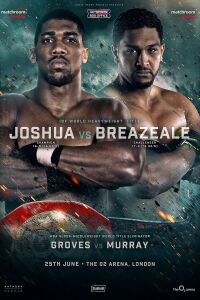 Anthony Joshua vs. Dominic Breazeale (2016)