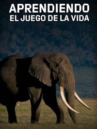 Aprendiendo el juego de la vida (2005)