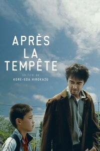 Après la tempête (2016)