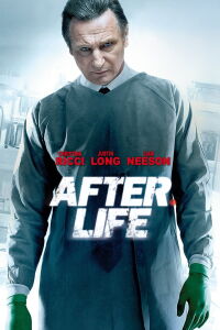 Après la vie (2009)