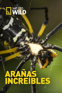 Arañas increíbles (2016)