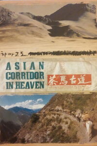 Asian Corridor in Heaven (2007)