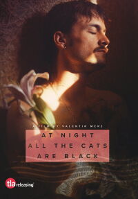 At Night All the Cats Are Black (2023)