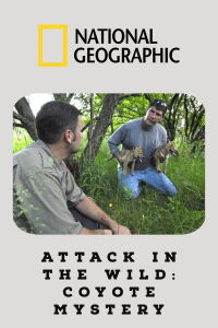 Attack in the Wild: Coyote Mystery (2011)