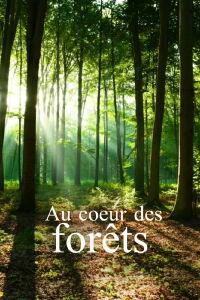 Au cœur des forêts (2018)