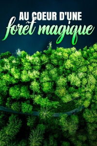 Au cœur d'une forêt magique (2023)