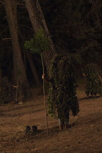 Autotrofia (2020)