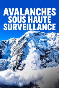 Avalanches sous haute surveillance (2019)