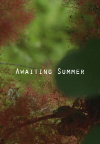 Awaiting Summer (2016)