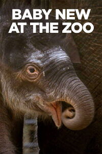 Baby New at the Zoo (2007)