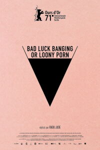 Bad Luck Banging or Loony Porn (2021)