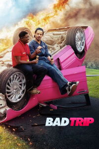 Bad Trip : Tours du pays (2021)