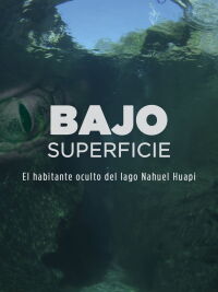 Bajo superficie (2022)