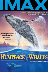 Ballenas (2015)