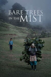 Bare Trees In The Mist (2019)