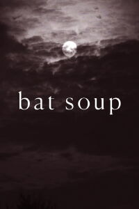 Bat Soup (2020)
