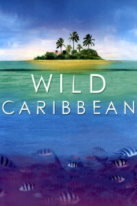 BBC Wild Caribbean (2007)
