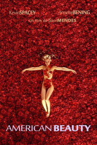 Beauté Américaine (1999)