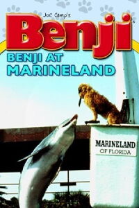 Benji at Marineland (1981)
