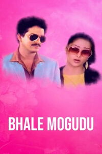 Bhale Mogudu (1987)
