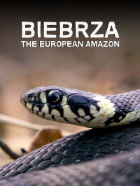 Biebrza. El amazonas Europeo (2016)