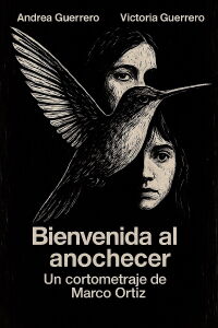 Bienvenida al Anochecer (2018)
