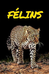 Big Cats (2019)