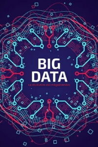 Big Data - La révolution des mégadonnées (2014)