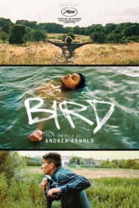 Bird (2024)