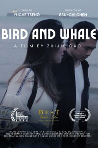 Bird and Whale (2021)