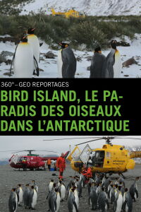 Bird Island, le paradis des oiseaux dans l'Antarctique (2015)
